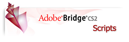 Adobe Bridge Scripts
